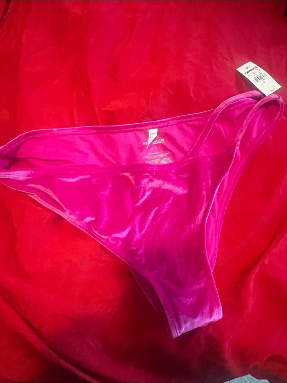 Express Vibrant Fuchsia Velvet Bikini Bottom